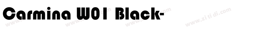 Carmina W01 Black字体转换